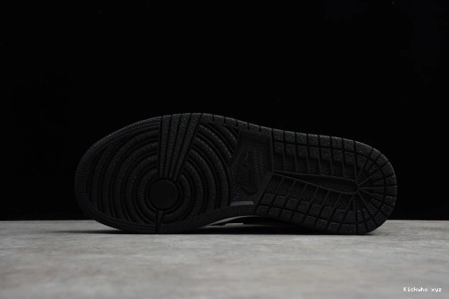 Jordan White Shadow 554724-073 1 AIR Mid 0812